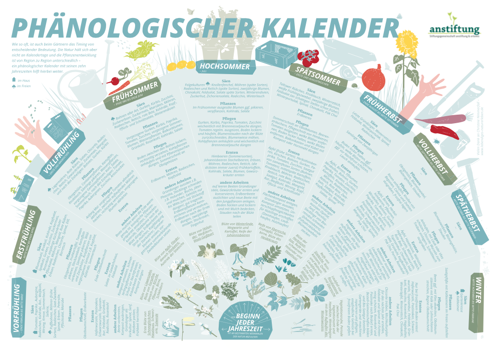 Phänologischer Kalender als PDF - Blog anstiftung - anstiftung