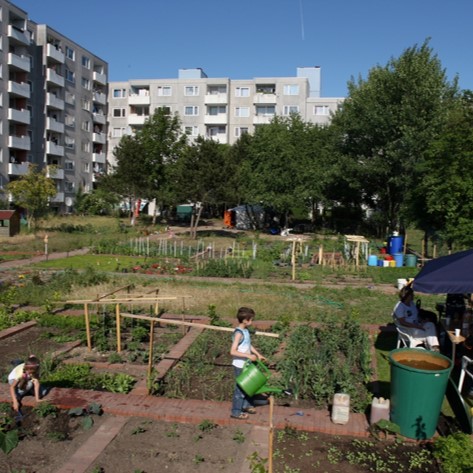 Urbane Gemeinschaftsgärten