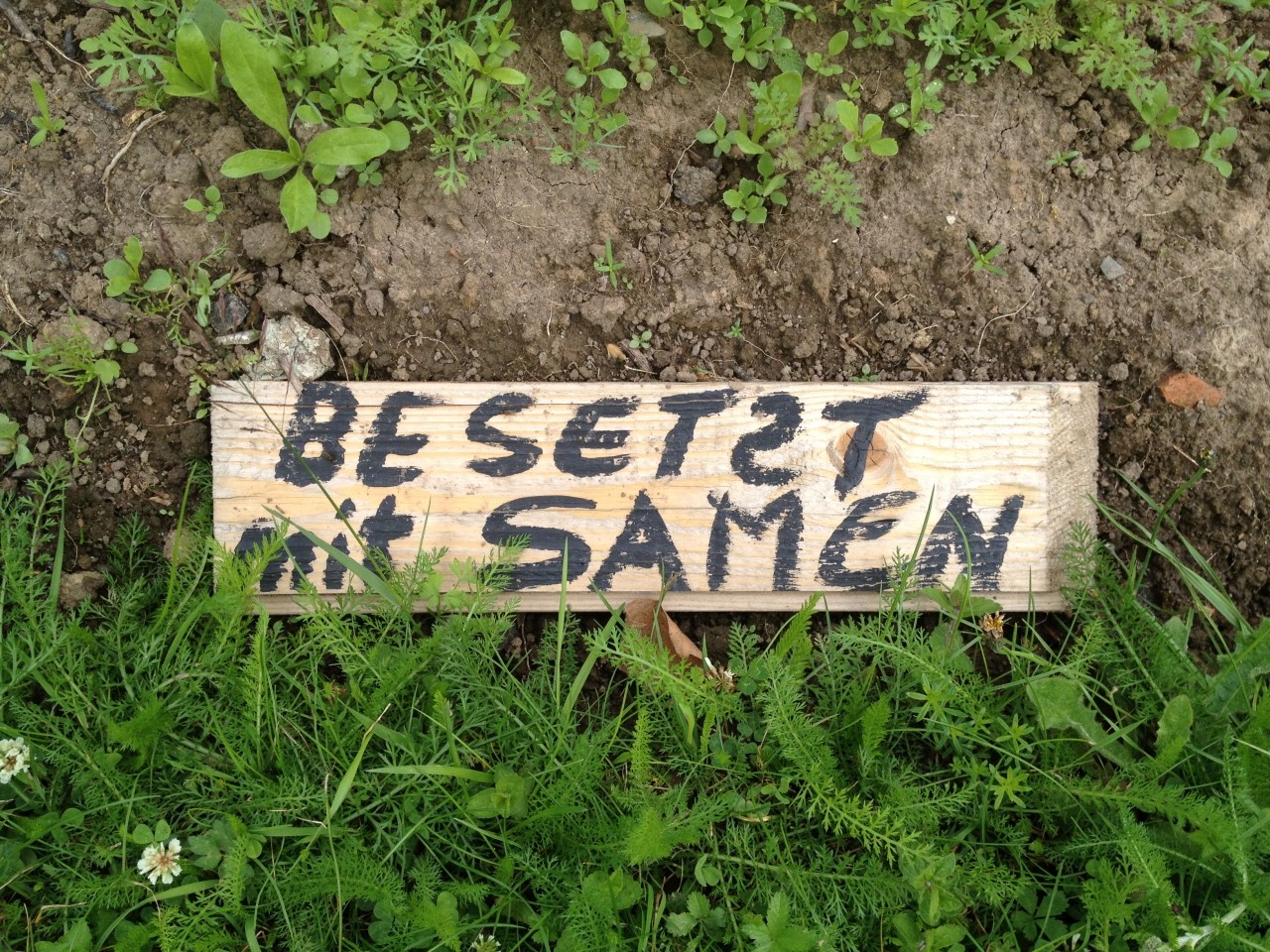 Kassel_Foto-Christa-Mller