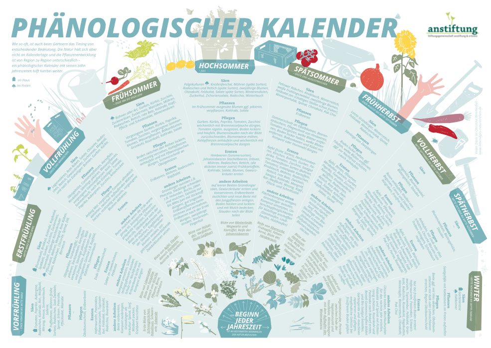 Phänologischer Kalender